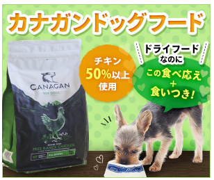 カナガンドッグフードはホームセンターで買える？知らないと